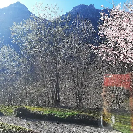 Apartmán Alpenschwaenchen Luxus - Mozartschwaenchen Bad Reichenhall
