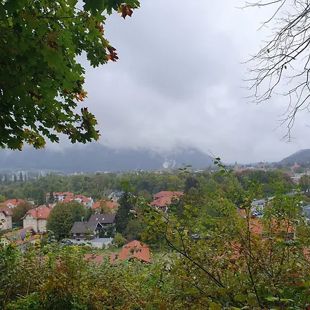 Alpenschwaenchen Luxus - Mozartschwaenchen Bad Reichenhall